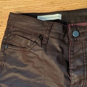 Anthropologie waxed burgandy pants